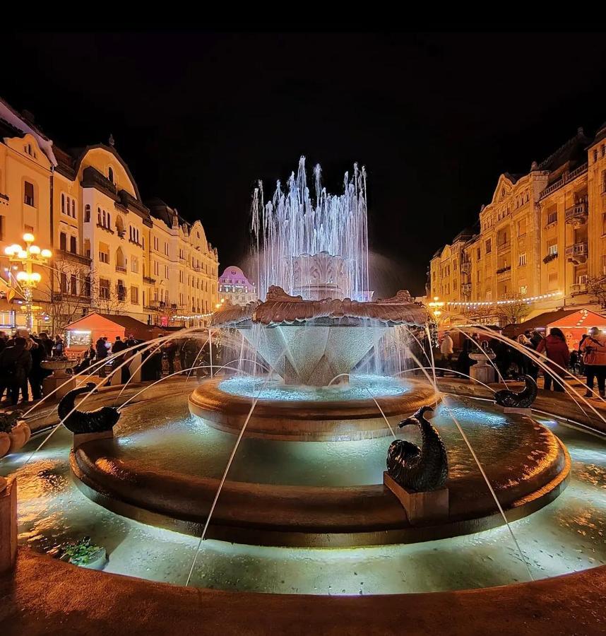 Premium Timisoara Apartment ภายนอก รูปภาพ