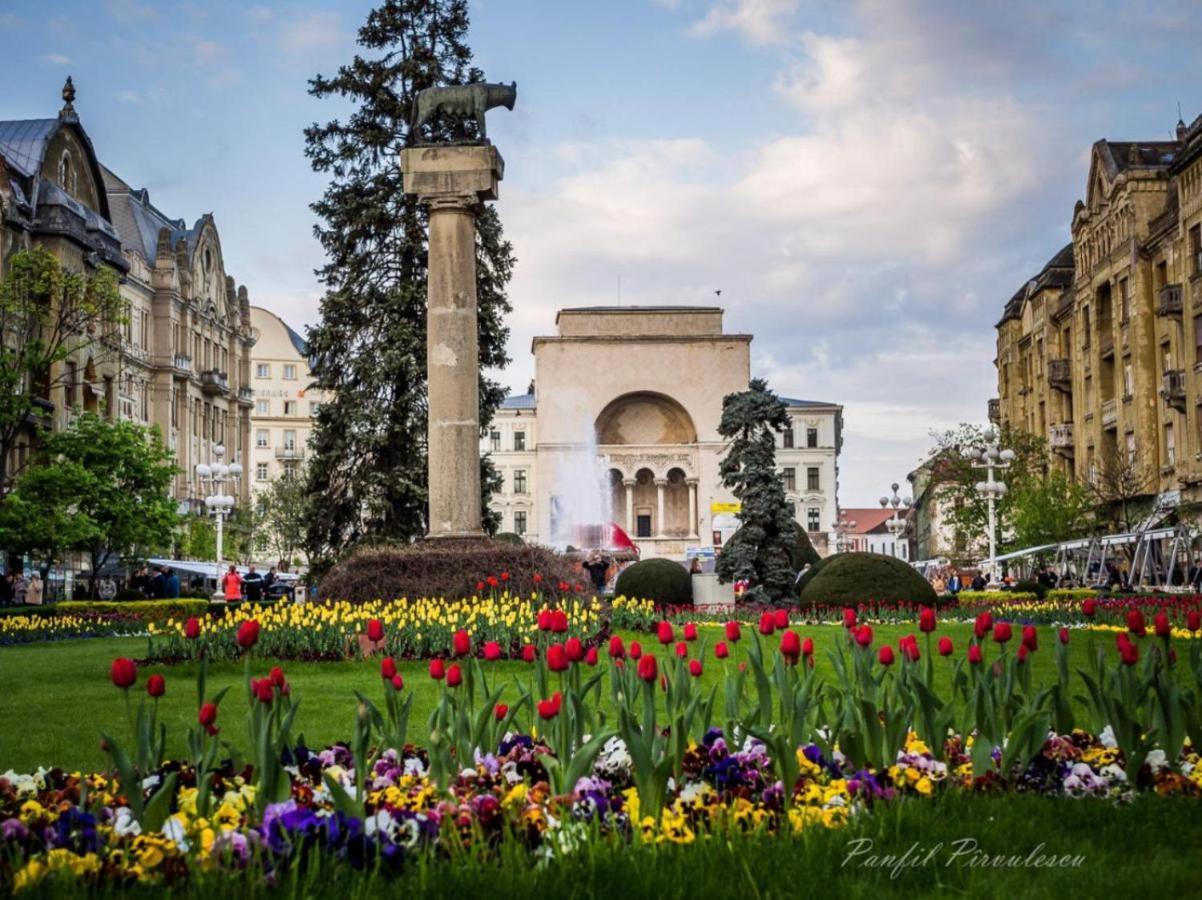 Premium Timisoara Apartment ภายนอก รูปภาพ