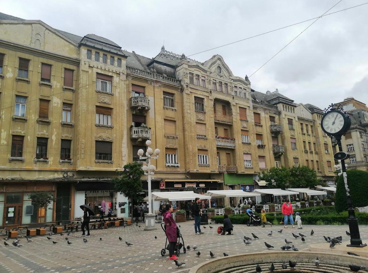 Premium Timisoara Apartment ภายนอก รูปภาพ